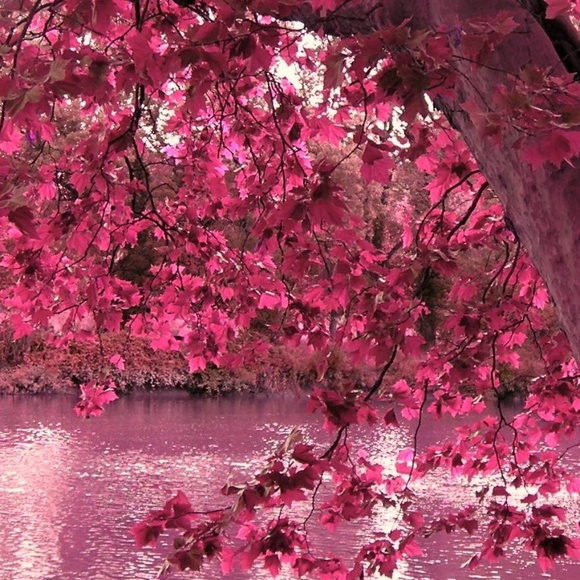 Meet your Posher, Mary - Picture 1 of 1